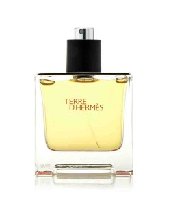 Hermes Terre D Hermes Erkek EDT 100ml