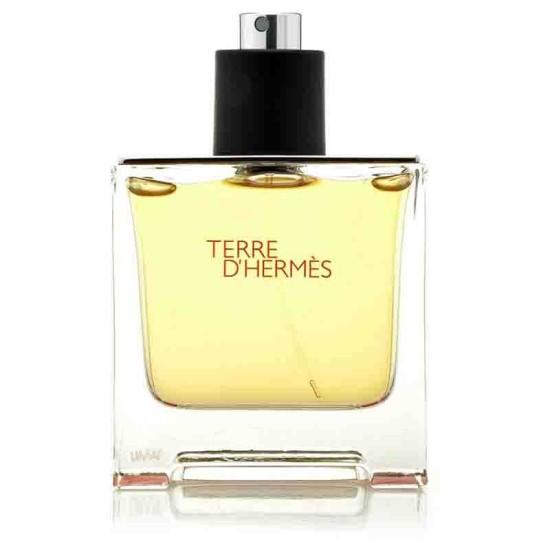 Hermes Terre D Hermes Erkek EDT 100ml